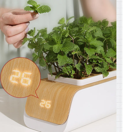 Indoor Hydroponic Planter with LED Grow Light – Smart ABS Flower & Vegetable Pot