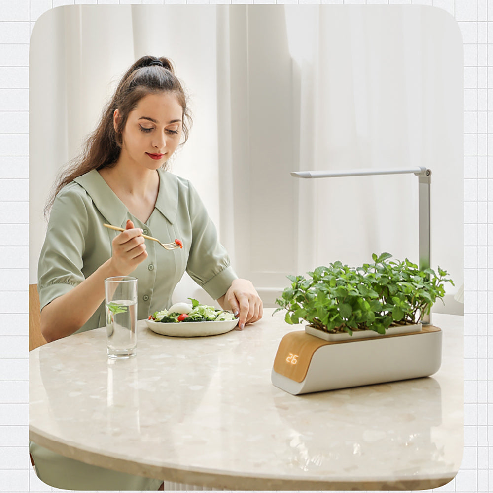 Indoor Hydroponic Planter with LED Grow Light – Smart ABS Flower & Vegetable Pot