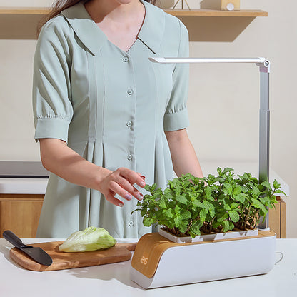 Indoor Hydroponic Planter with LED Grow Light – Smart ABS Flower & Vegetable Pot